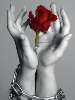 Other Wallpapers 0737